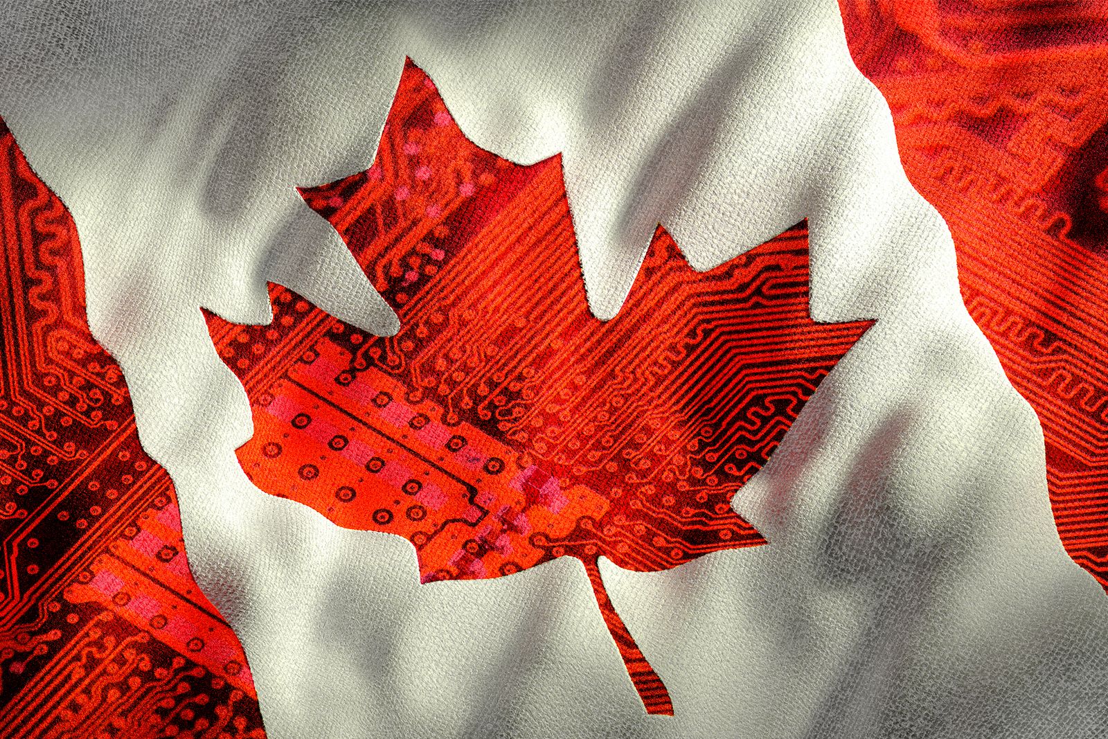 Trump’s Trade War Pushes Canadian Tech Workers to Rethink Silicon Valley