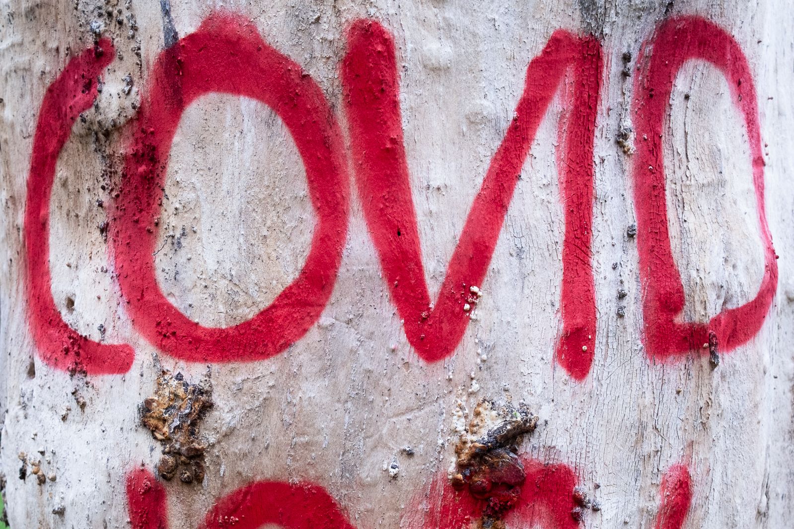 Revenge of the Covid Conspiracy Theorists