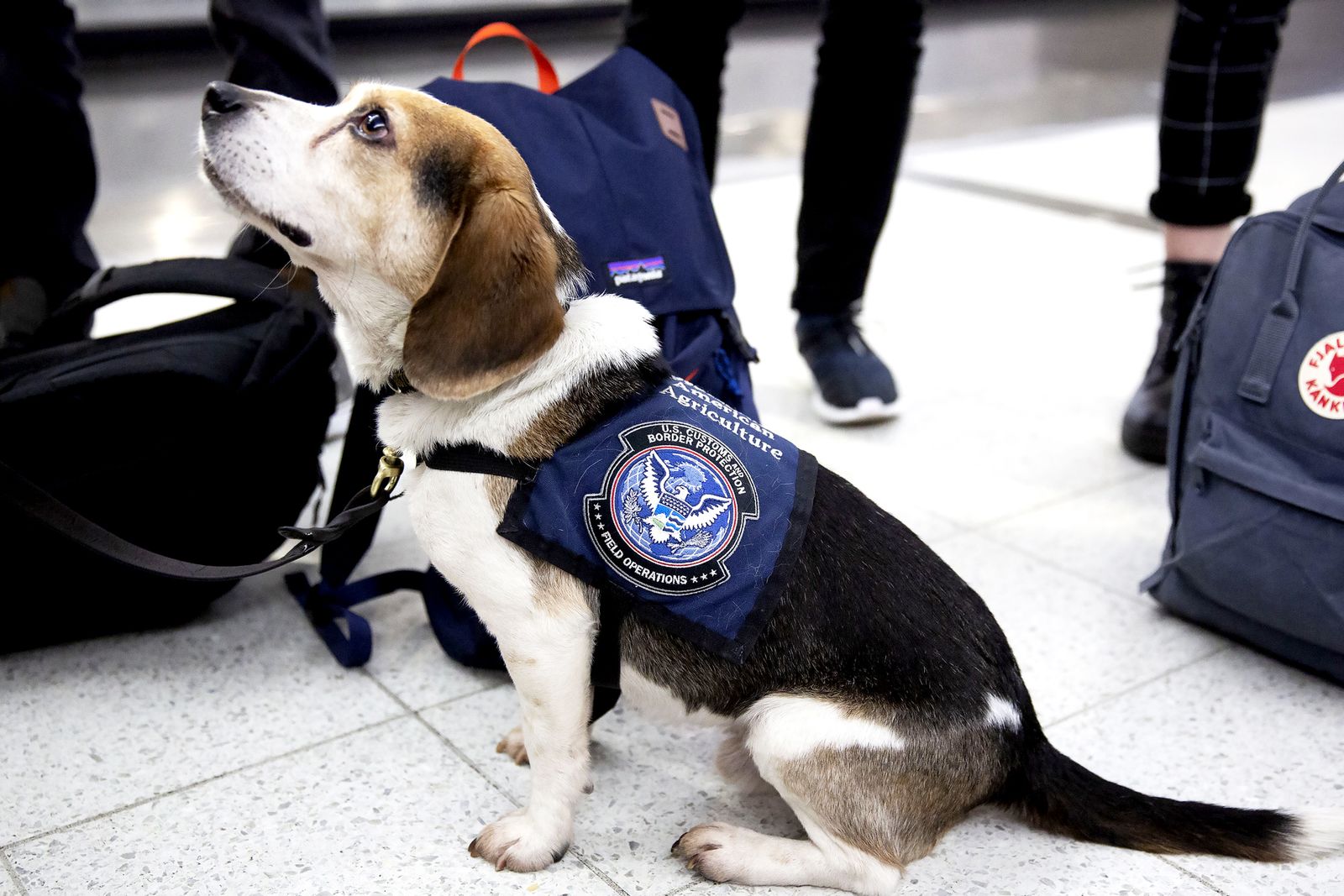 DOGE’s Cuts at the USDA Could Cause US Grocery Prices to Rise and Invasive Species to Spread