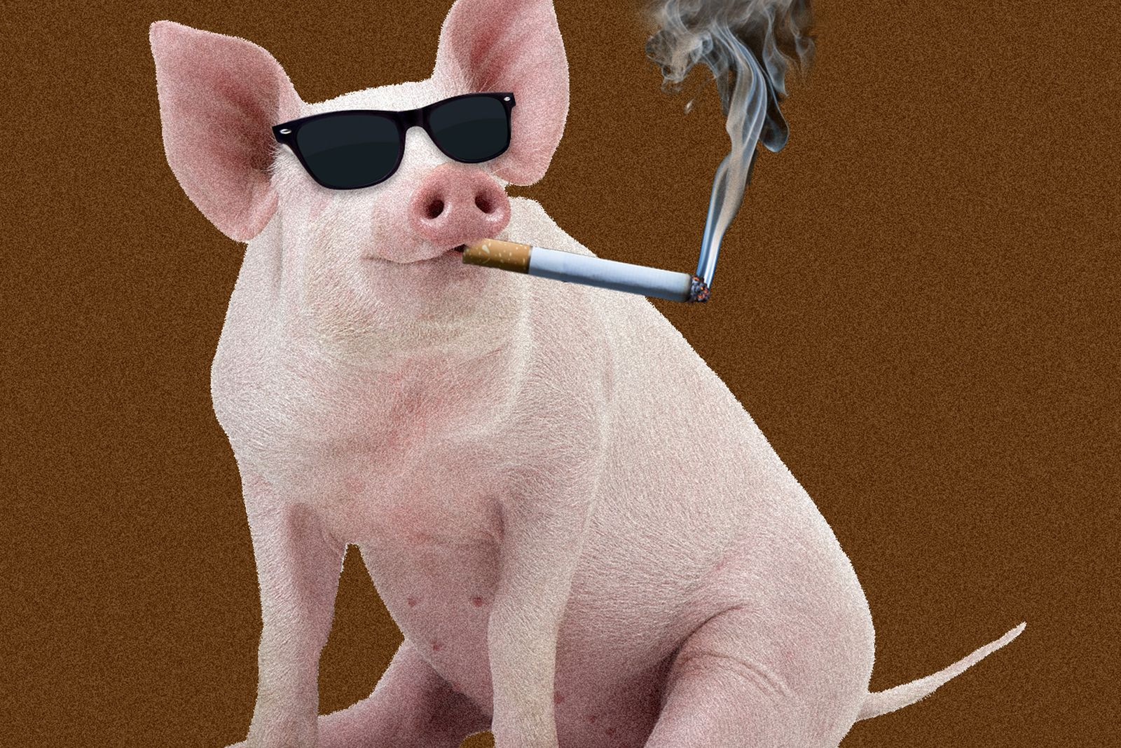 Should You Smoke Indoors?