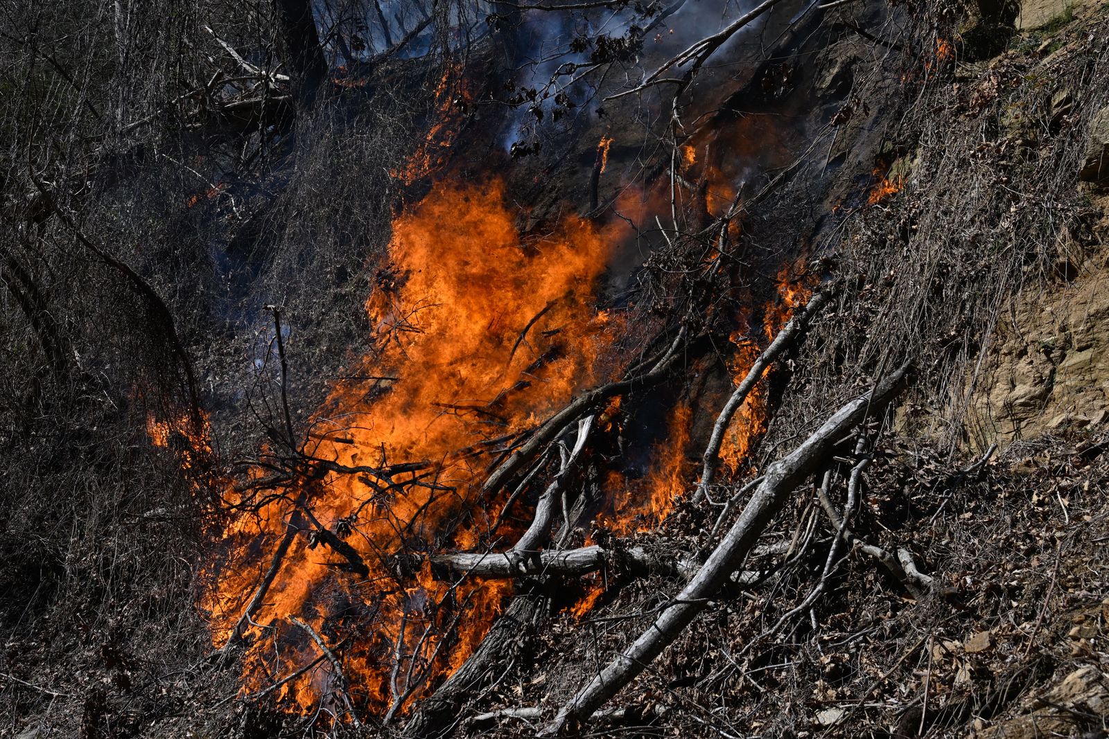 The Extreme Weather Conditions That Drove the Carolina Wildfires