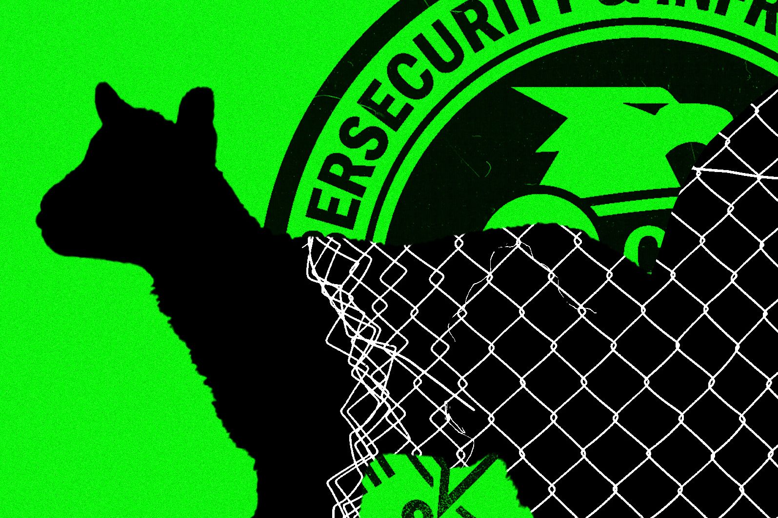 ‘People Are Scared’: Inside CISA as It Reels From Trump’s Purge