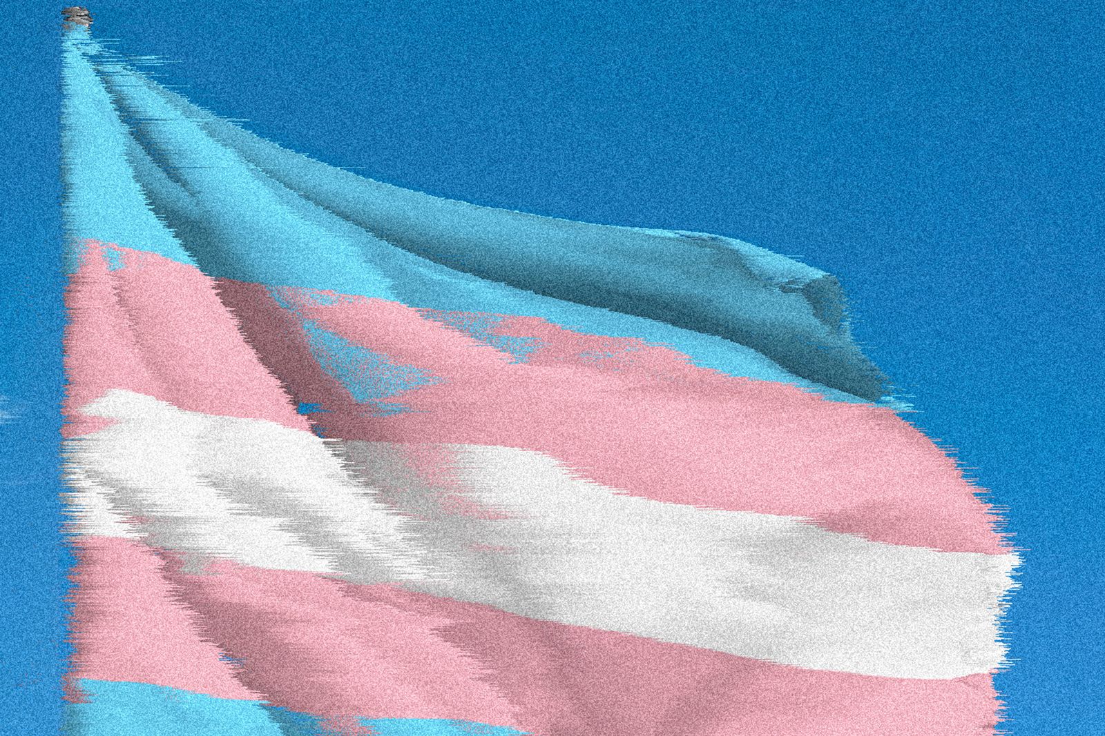 Researchers Rush to Save US Government Data on Trans Youth&-Before It Disappears