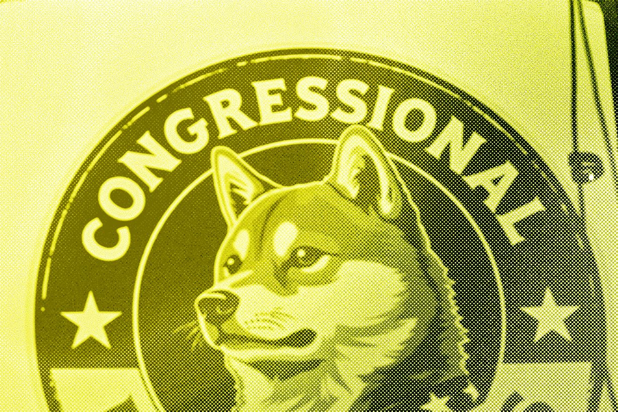 DOGE Is Doing the Opposite of Government Auditing